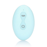 remote-control-panty-vibrator